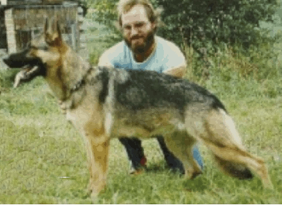 German Shepherd