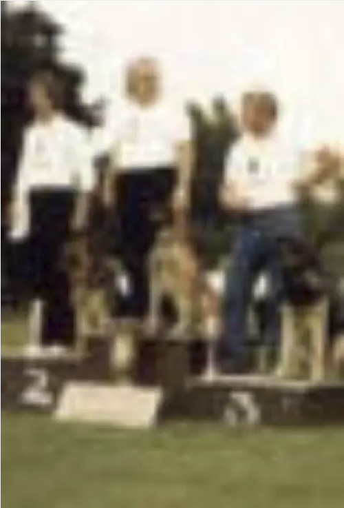 German Shepherd